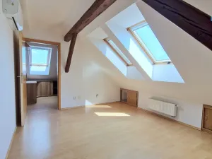 Pronájem bytu 4+1, Brno - Královo Pole, Skácelova, 171 m2