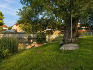 Prodej pozemku pro bydlení, Brtnice, 1195 m2