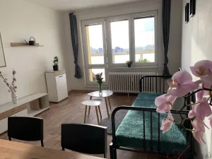 Pronájem bytu 1+kk, Ostrava - Výškovice, Výškovická, 28 m2