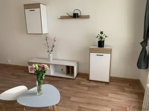 Pronájem bytu 1+kk, Ostrava - Výškovice, Výškovická, 28 m2