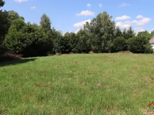 Prodej pozemku pro bydlení, Jetřichovice - Vysoká Lípa, 3415 m2
