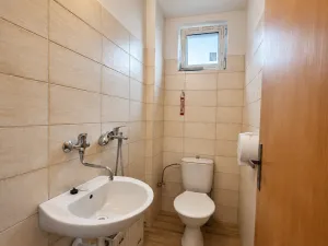 Prodej komerční nemovitosti, Brtnice, 174 m2