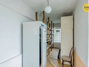 Prodej výrobních prostor, Blížejov, Nádražní, 5979 m2