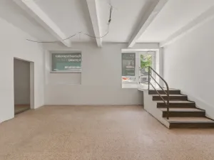 Prodej obchodního prostoru, Praha, Pod Drinopolem, 67 m2