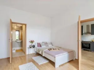 Pronájem bytu 2+kk, Praha - Žižkov, Jeseniova, 45 m2