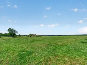 Prodej pozemku pro bydlení, Mladošovice, 1168 m2
