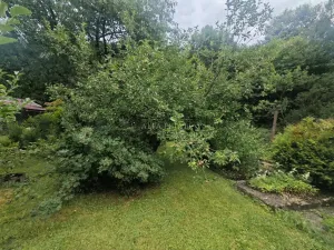 Prodej zahrady, Nejdek, Limnická, 622 m2