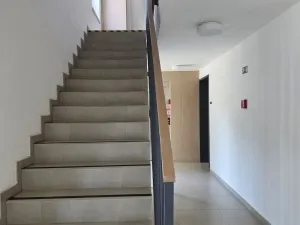 Pronájem bytu 2+kk, Plzeň, Pallova, 46 m2