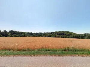 Prodej pole, Otinoves, 10036 m2