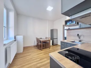 Pronájem bytu 2+1, Lovosice, Žižkova, 47 m2