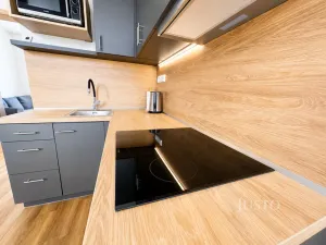 Pronájem bytu 2+1, Lovosice, Žižkova, 47 m2