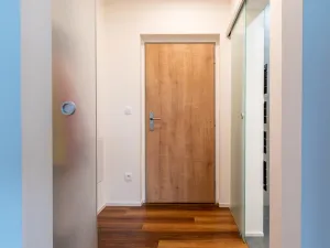 Pronájem bytu 1+kk, Hranice - Hranice I-Město, Pod Nemocnicí, 43 m2