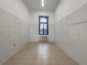 Pronájem obchodního prostoru, Praha, Braunerova, 67 m2
