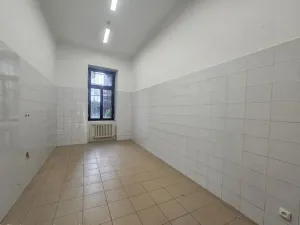 Pronájem obchodního prostoru, Praha, Braunerova, 67 m2