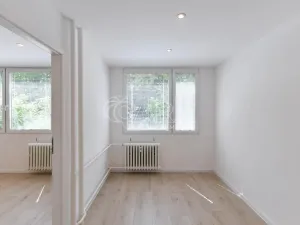 Prodej bytu 2+kk, Praha - Krč, Hurbanova, 39 m2