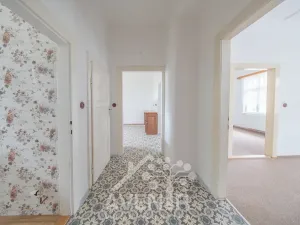 Prodej obchodního prostoru, Kroměříž, Žižkova, 244 m2