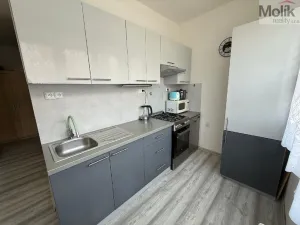 Prodej bytu 3+1, Bílina - Teplické Předměstí, M. Švabinského, 72 m2