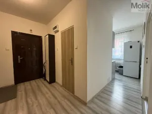 Prodej bytu 3+1, Bílina - Teplické Předměstí, M. Švabinského, 72 m2