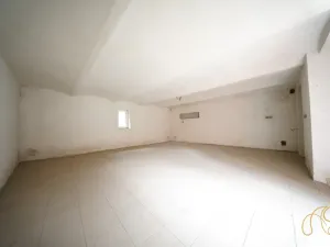 Prodej komerční nemovitosti, Budišov, 678 m2