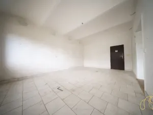 Prodej komerční nemovitosti, Budišov, 678 m2