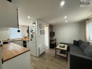 Prodej zahrady, Údlice, Chomutovská, 391 m2