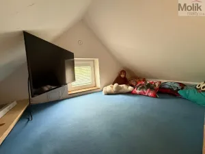 Prodej zahrady, Údlice, Chomutovská, 391 m2