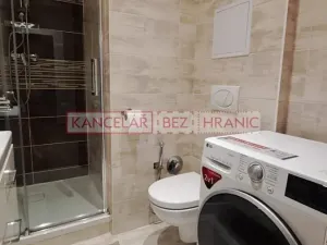 Pronájem bytu 2+kk, Ostrava, Plzeňská, 56 m2