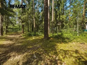 Pronájem chaty, Doksy, Dalibora z Myšlína, 40 m2