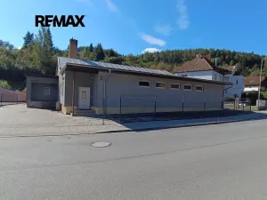 Pronájem obchodního prostoru, Brněnec, 238 m2