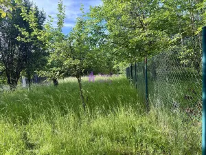 Pronájem zahrady, Olomouc - Droždín, 2520 m2