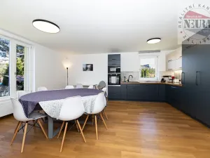 Pronájem bytu 4+kk, Praha - Motol, U hrušky, 150 m2