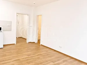 Prodej bytu 1+kk, Praha - Hodkovičky, Pod lysinami, 30 m2