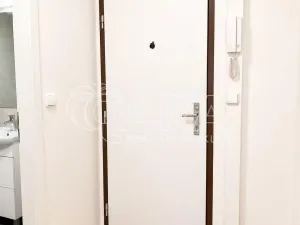 Prodej bytu 1+kk, Praha - Hodkovičky, Pod lysinami, 30 m2