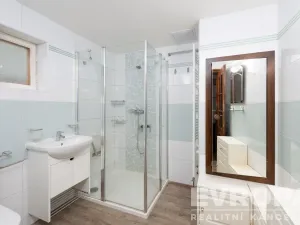 Prodej rodinného domu, Nová Ves pod Pleší, Průběžná, 298 m2