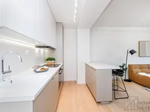 Prodej bytu 4+kk, Praha - Vršovice, U Slavie, 80 m2