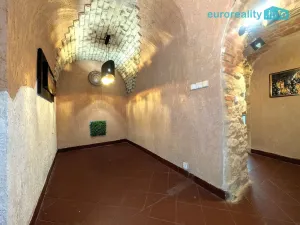 Pronájem restaurace, Plzeň, Zbrojnická, 75 m2