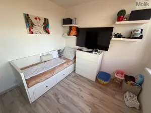 Prodej bytu 3+1, Most, Růžová, 55 m2