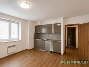 Pronájem bytu 1+kk, Praha - Hloubětín, 26 m2
