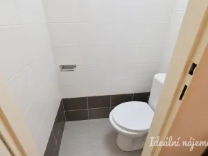 Pronájem bytu 2+1, Židlochovice, sídl. Družba, 52 m2