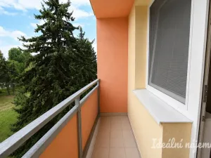 Pronájem bytu 2+1, Židlochovice, sídl. Družba, 52 m2