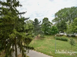 Pronájem bytu 2+1, Židlochovice, sídl. Družba, 52 m2