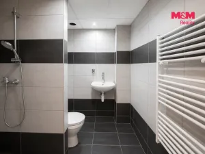 Pronájem bytu 1+kk, Hradec Králové, Sušilova, 32 m2