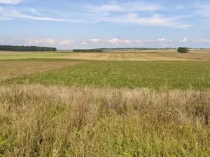 Prodej pozemku pro bydlení, Bělušice, 3767 m2