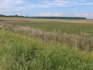 Prodej pozemku pro bydlení, Bělušice, 3767 m2