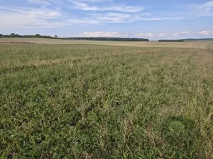 Prodej pozemku pro bydlení, Bělušice, 3767 m2