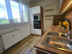Pronájem bytu 2+1, Písek - Budějovické Předměstí, Dr. M. Horákové, 54 m2