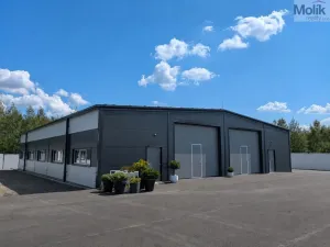 Pronájem skladu, Hrob - Mlýny, 200 m2
