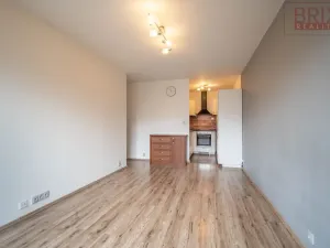 Pronájem bytu 2+kk, Praha, Drimlova, 43 m2