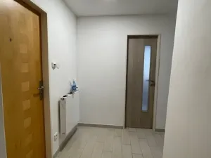 Prodej bytu 2+1, Liberec, Hodkovická, 76 m2