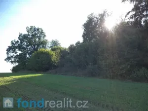 Prodej pole, Kolinec, 2385 m2